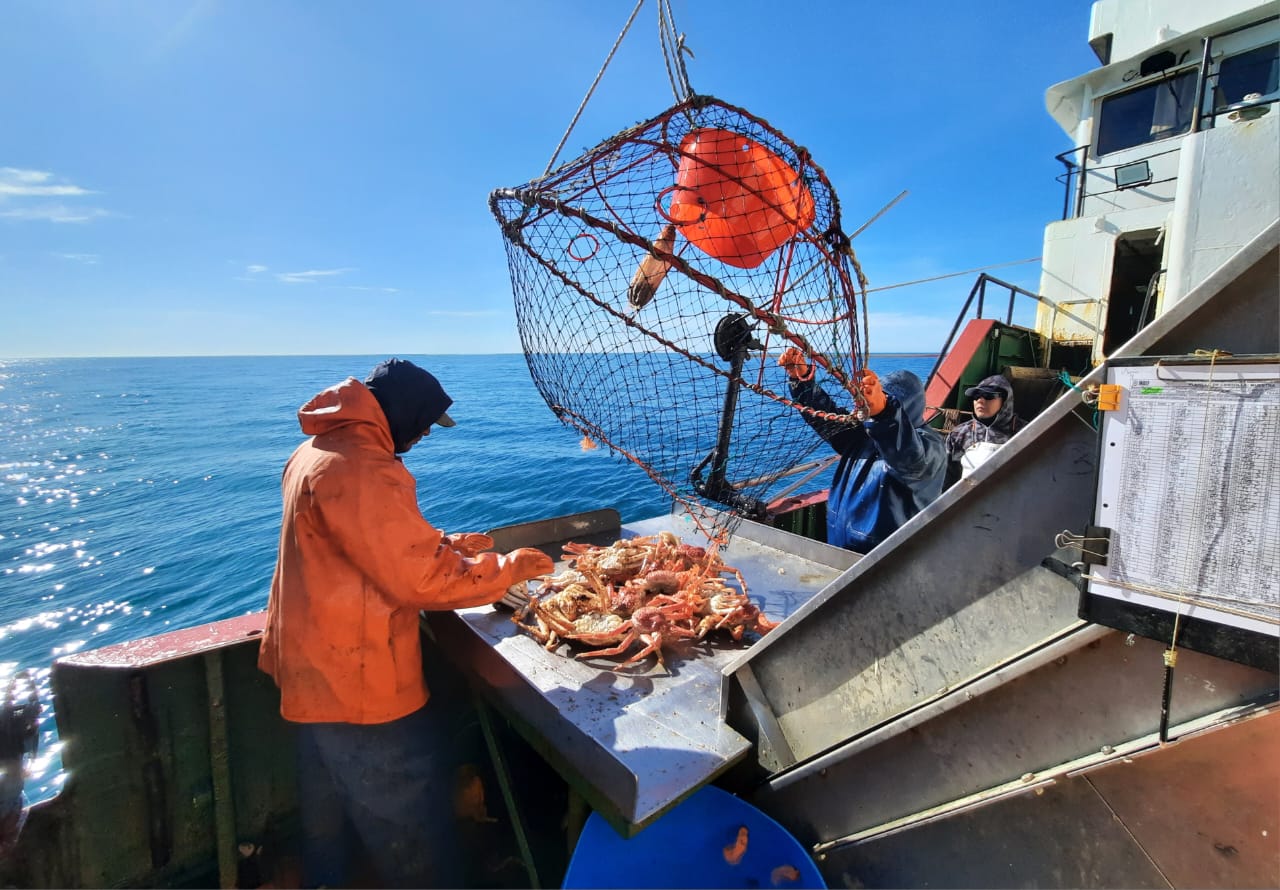 Promocje w Nine Casino