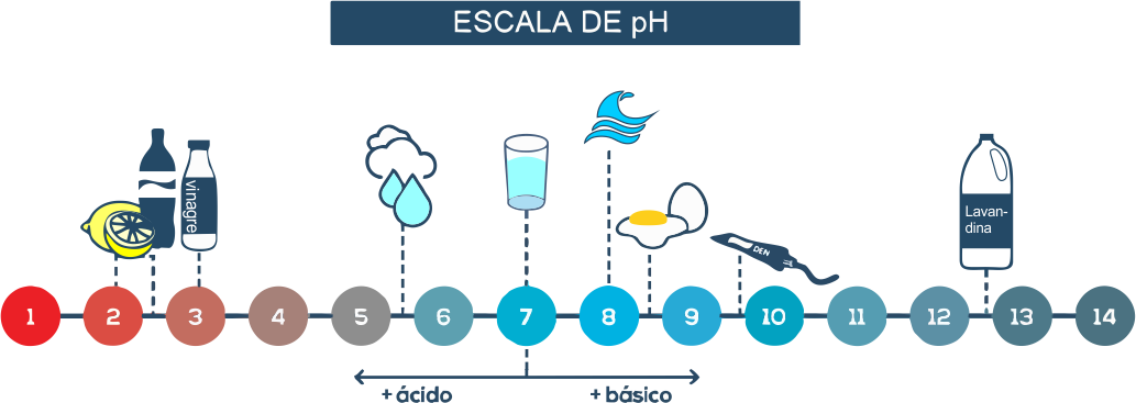 ESCALA DE pH: El pH es una medida del grado de acidez de una sustancia y tiene valores que van del cero al 14. Un valor de pH 7 se considera neutral; los valores inferiores a 7 son ácidos, y los valores superiores a 7 se denominan básicos o alcalinos. La mayor parte del agua potable tiene un valor de pH entre 6.5 y 7.5, mientras que el vinagre tiene un pH de 3 (ácido). En el otro extremo los productos de limpieza como el dentífrico y la lavandina tienen un pH de 9 a 12 (alcalino). Esta escala tiene una particularidad de que el cambio de un valor a otro, es un cambio muy grande (10 veces más).
